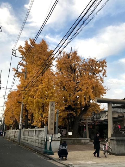 Sky Tree Inn โตเกียว ภายนอก รูปภาพ
