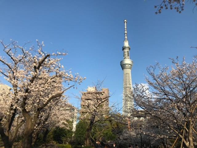 Sky Tree Inn โตเกียว ภายนอก รูปภาพ