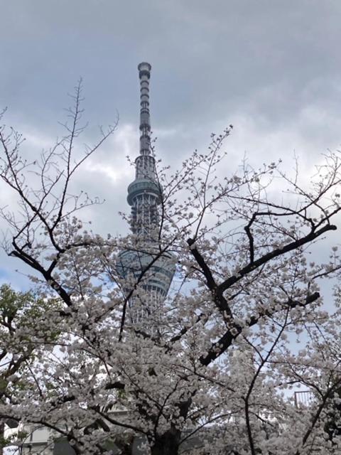 Sky Tree Inn โตเกียว ภายนอก รูปภาพ
